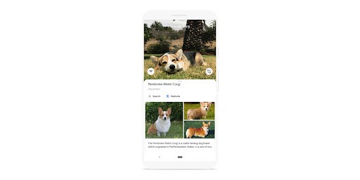 Google Lens 사용법과 핵심 기준을 설명하는 대표 이미지